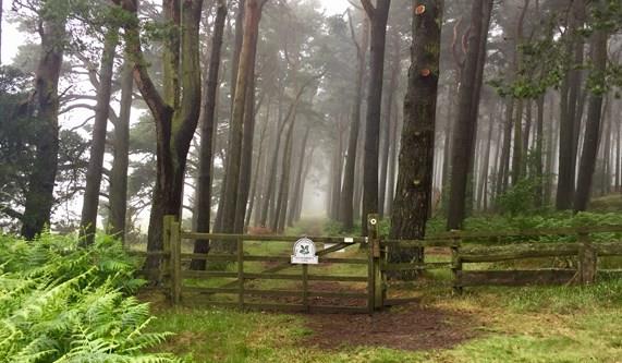 Essential Facts St Cuthbert's Way