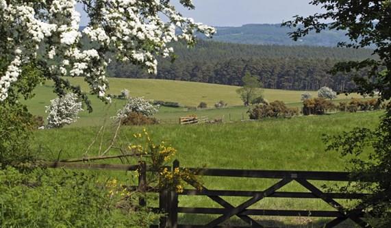 Why book your Northumberland Walking Holiday with Macs Adventure?