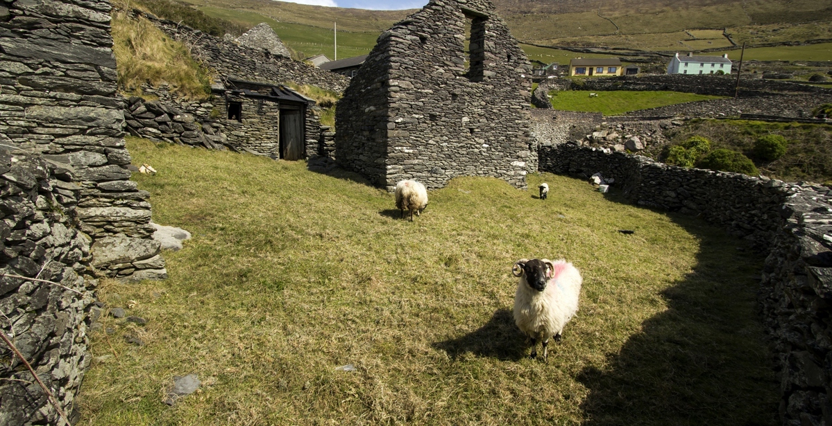 Dingle Way: 6000 years of history