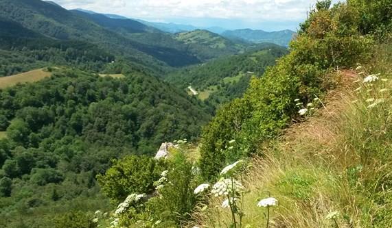 Mystical Montsegur and the Cathars