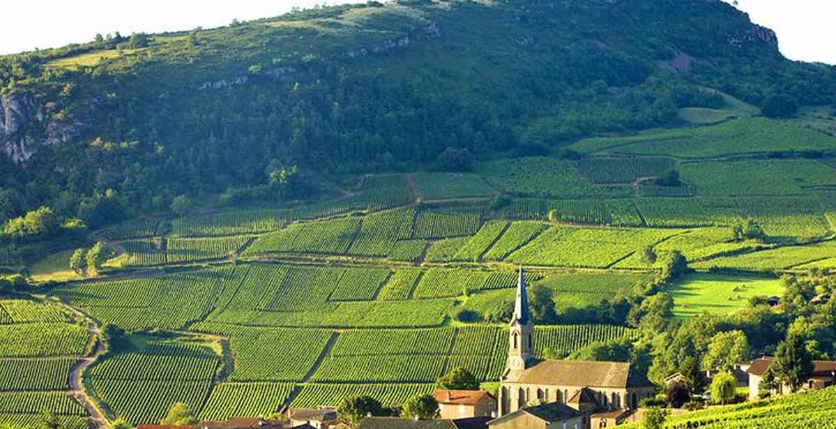 Burgundy: One of the Best Wine Regions for Walking
