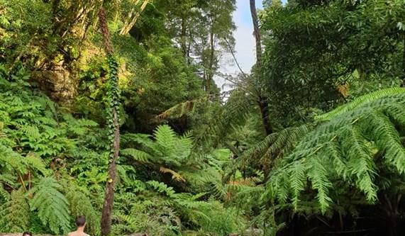 Frequently Asked Questions about Portugal