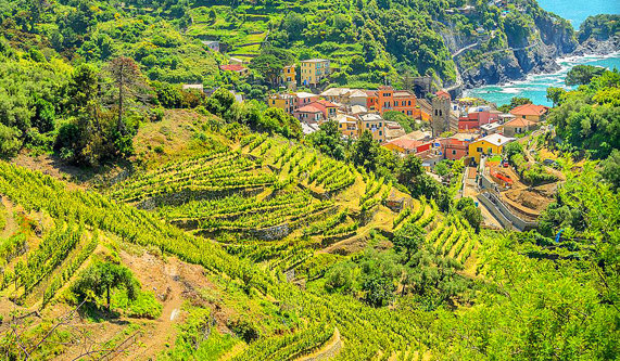 Cinque Terre FAQs