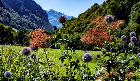 Why Choose Macs Adventure to book your Walking Holiday in Switzerland?