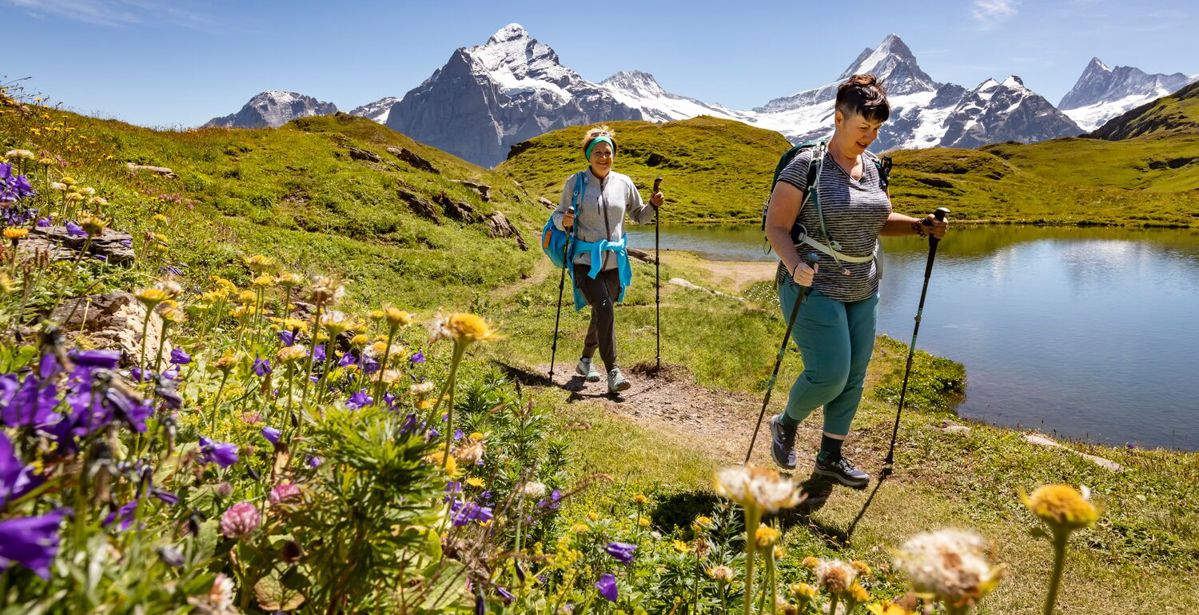 Walk Your Way to Wellness