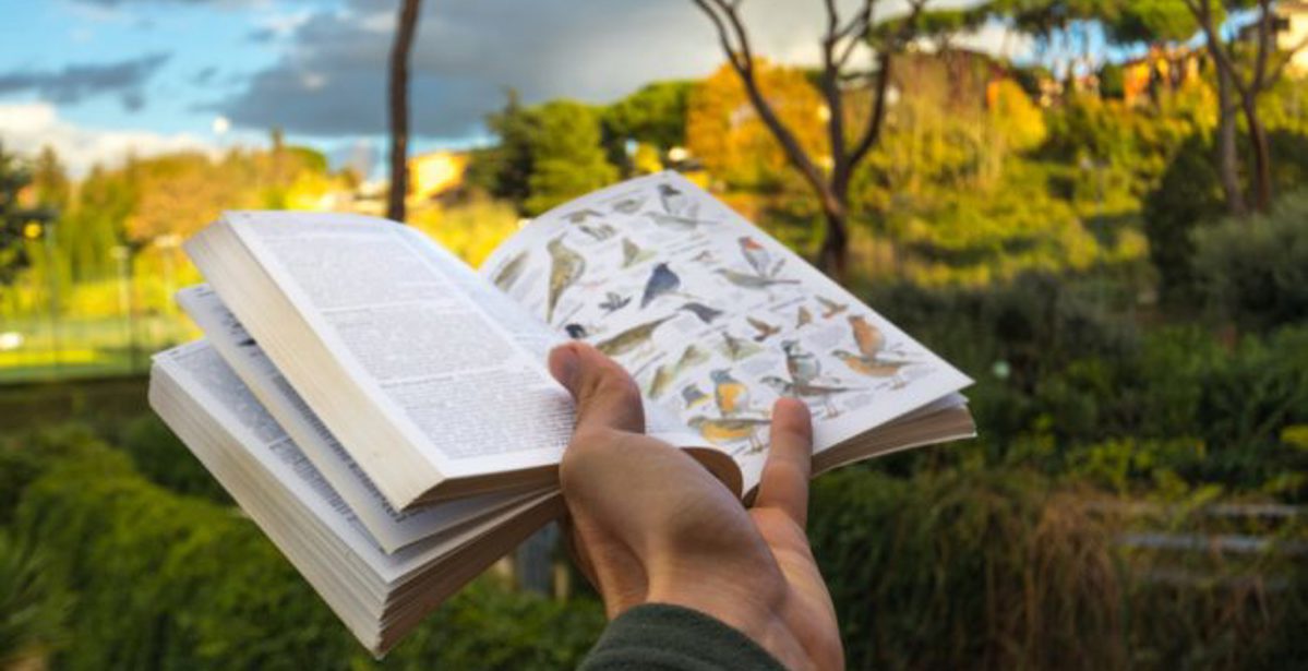 The Safari Less Travelled – A Rare Find?