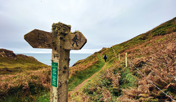More about the Pembrokeshire Coast Path