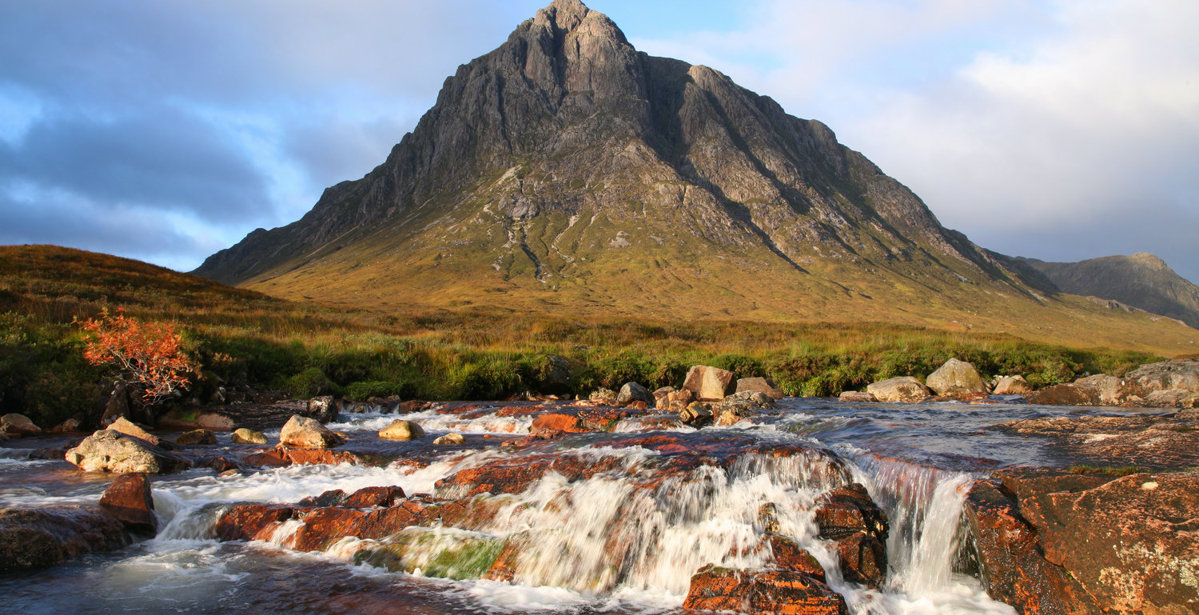 One "Appy" Macs Customer!