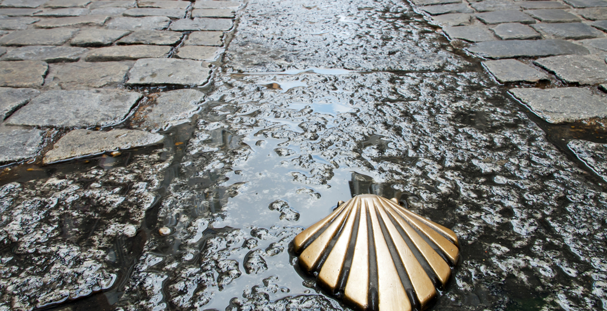 Camino Guide Part 3: Which Pilgrimage Route? - Camino Frances