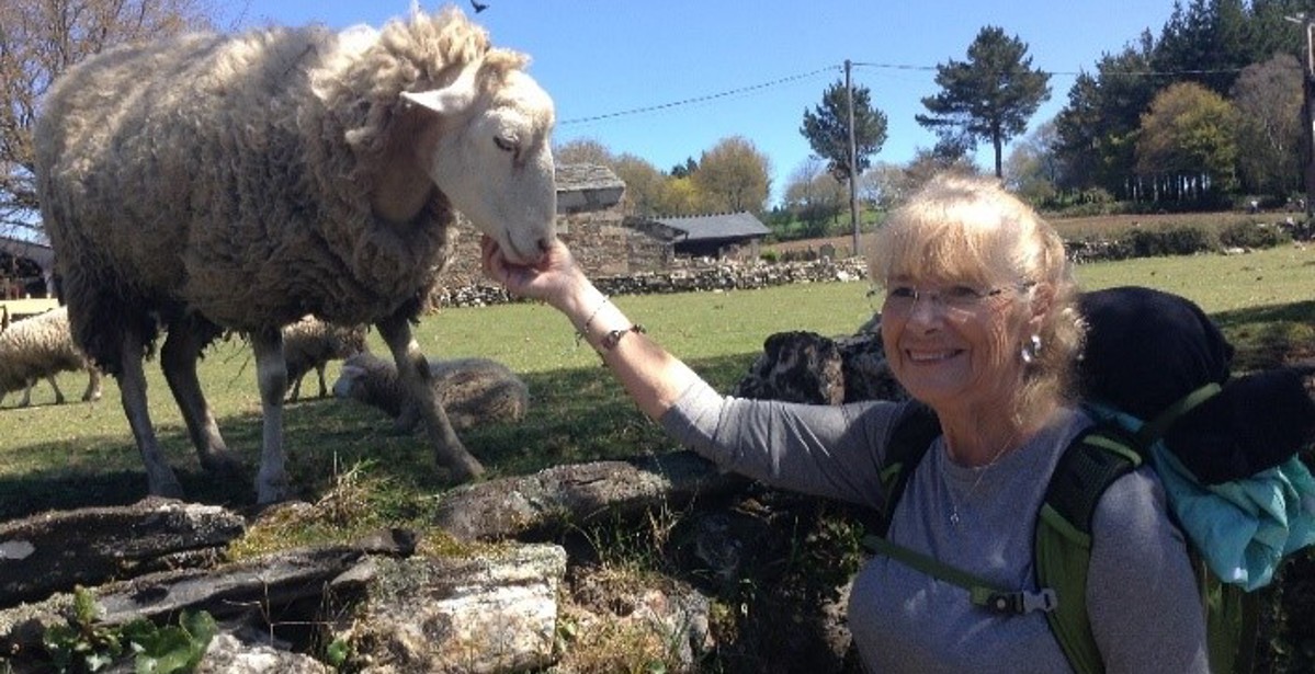 Blessings Along "The Way" - Part 2