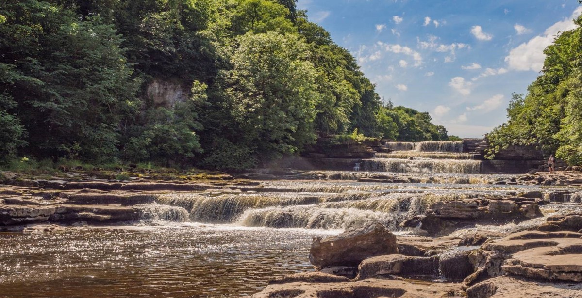 Highlights of the Herriot Way