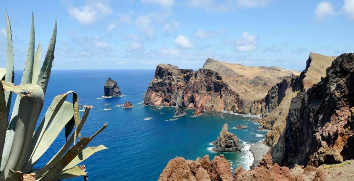 Madeira – The Flower Island with a Wild Side
