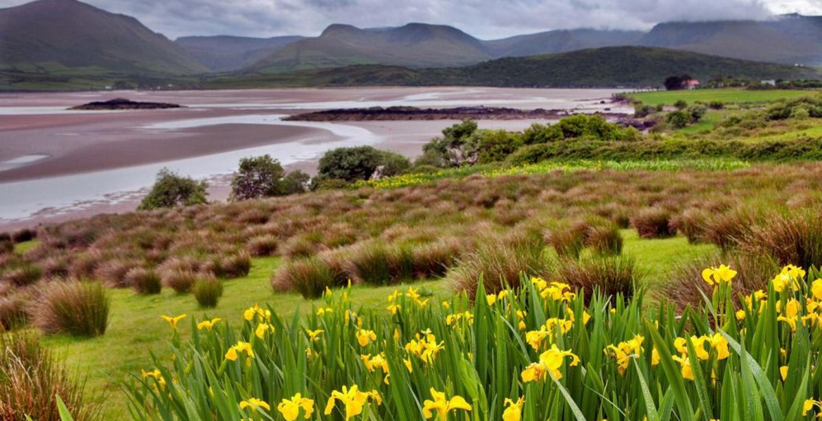 Immerse yourself in a holiday in Ireland