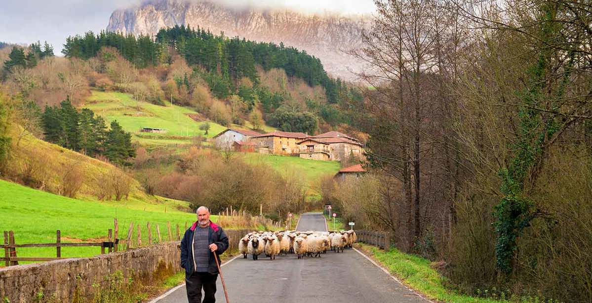 The Basque Country: 15 interesting things to know