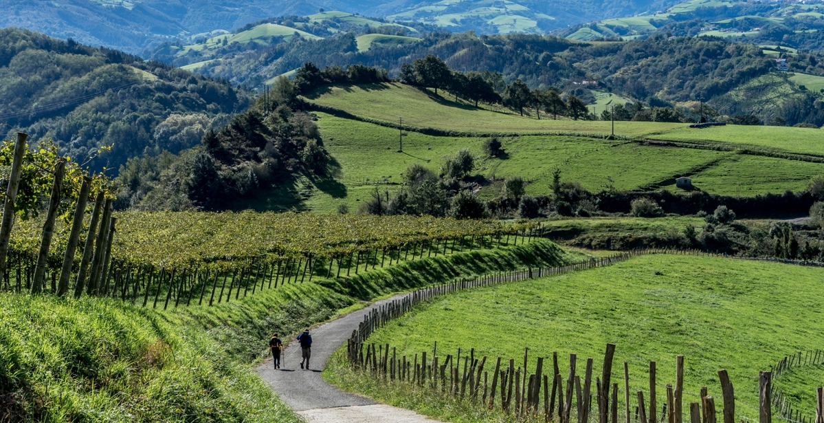 Seven Reasons to Visit the Basque Country