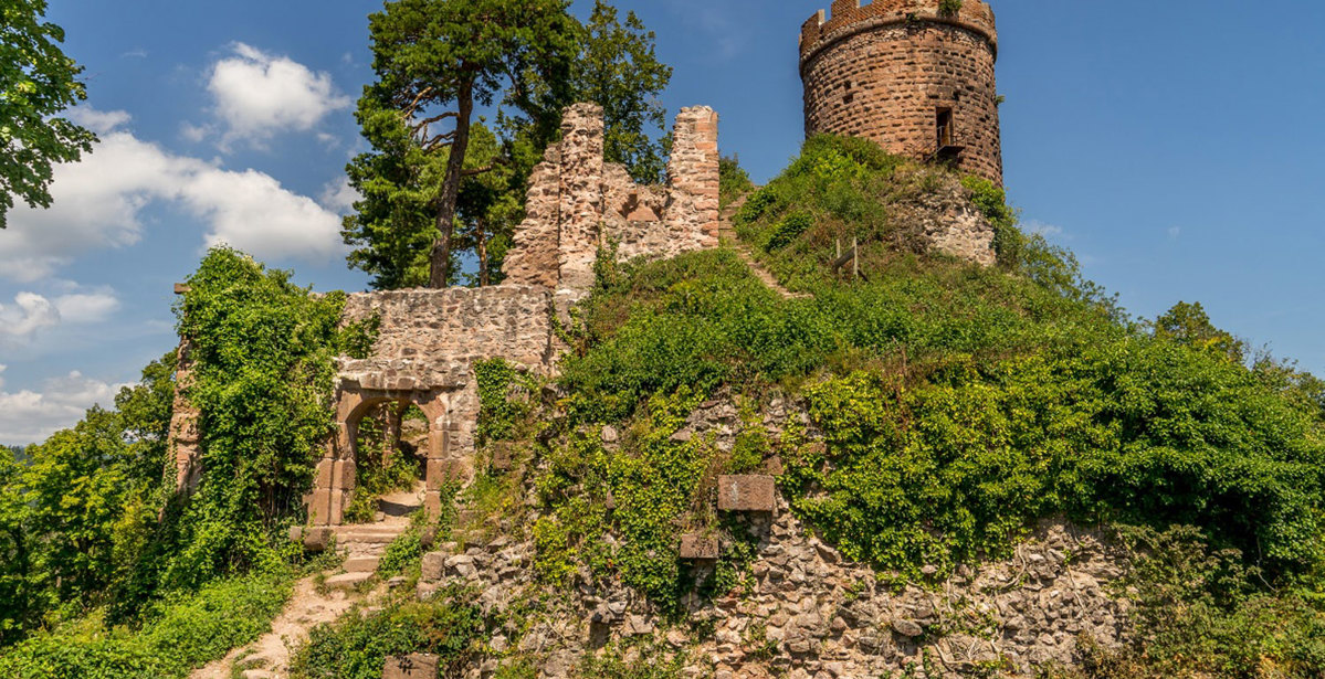 The Chateaux of Alsace