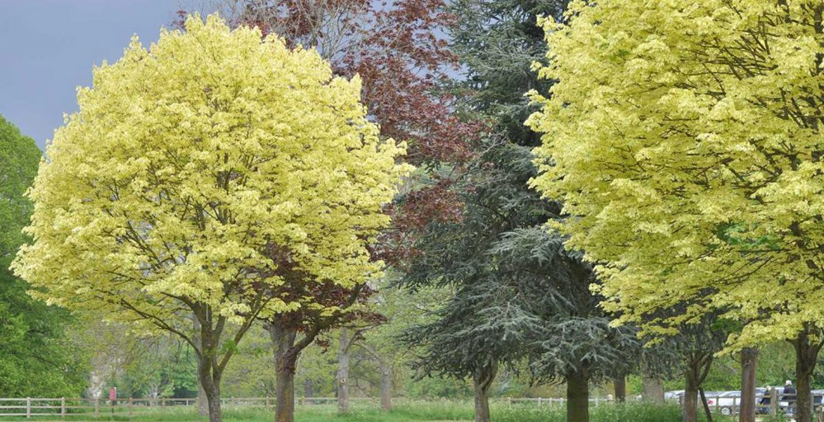 Walking in the Cotswolds: Which trip is for me?