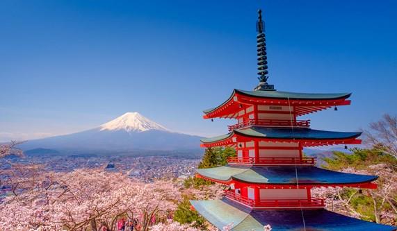 Best Time to Visit Japan?