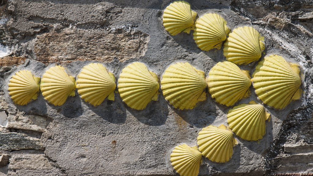 Walk of the Week: Camino del Norte