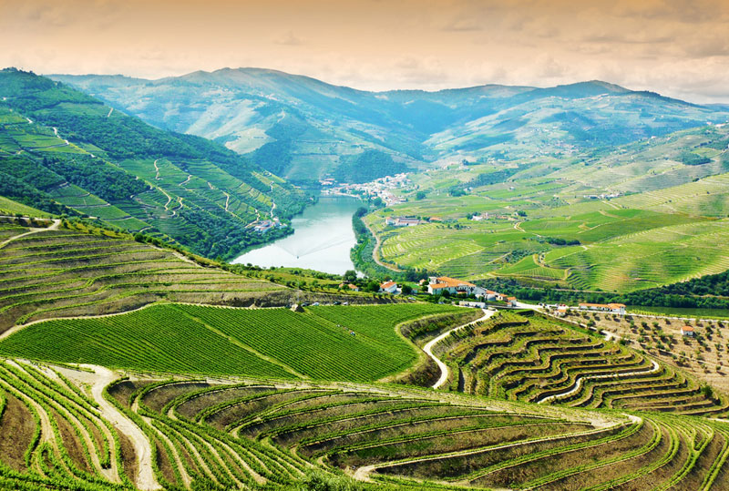 Friday Five: Holidays for wine lovers