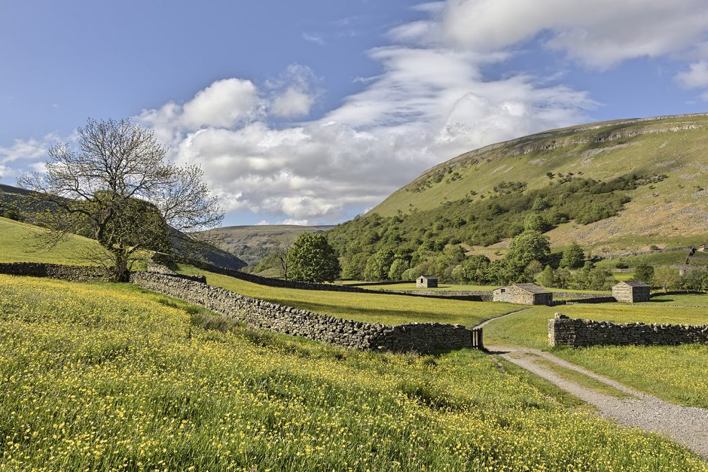 Walk of the Week: Escape to the Yorkshire Dales