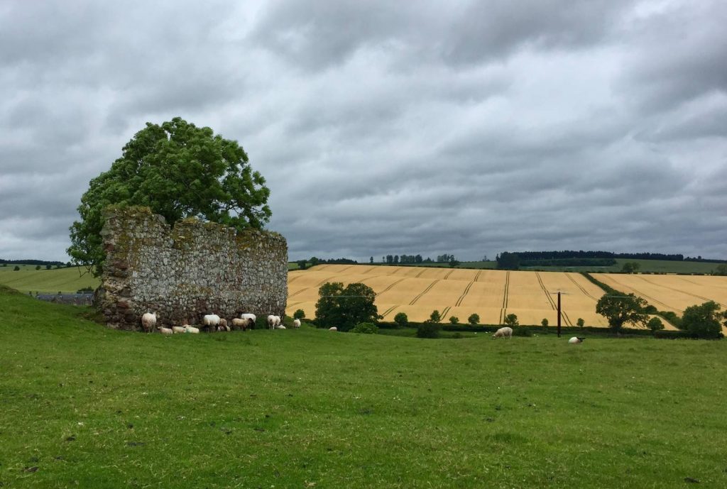 Day 2 Cessford Castle