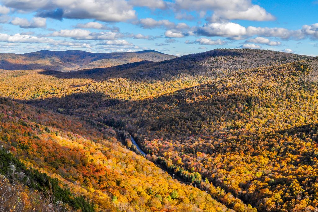 tree covered hills on the Long Trail
