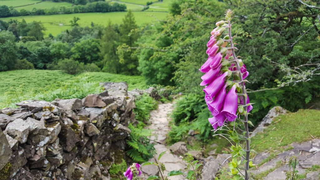 West is Best: Walking the Western Section of Wainwright's Coast to Coast