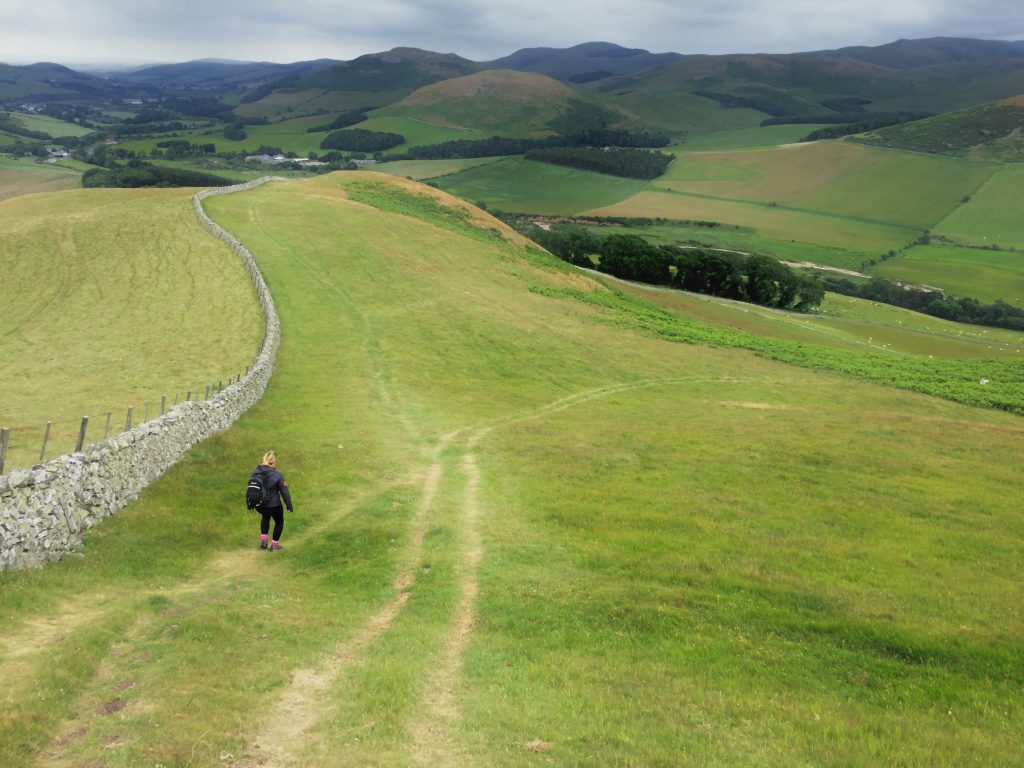 walker on a path, surrounded by wide open fields on St Cuthbert's Way