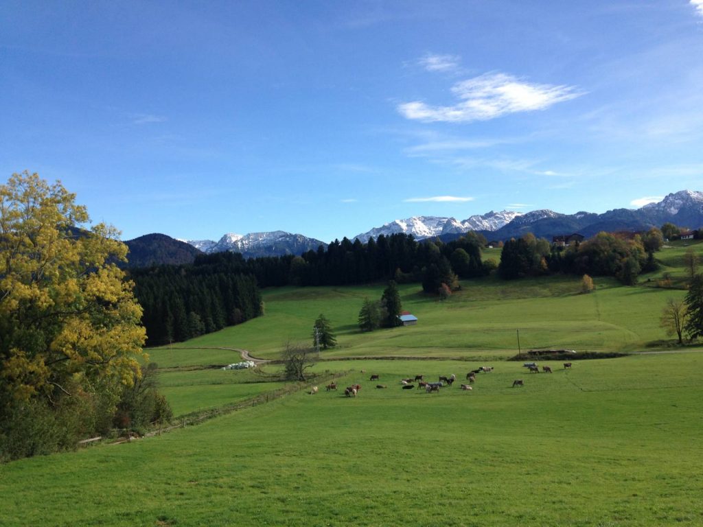 5 Reasons to walk the King Ludwig Way