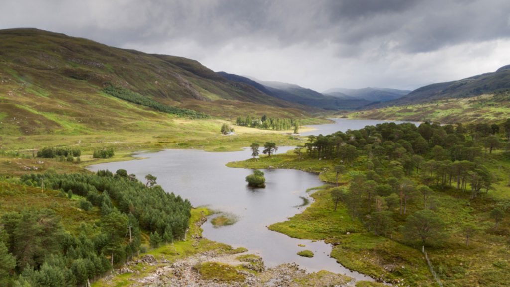 Solo - Cannich Stores